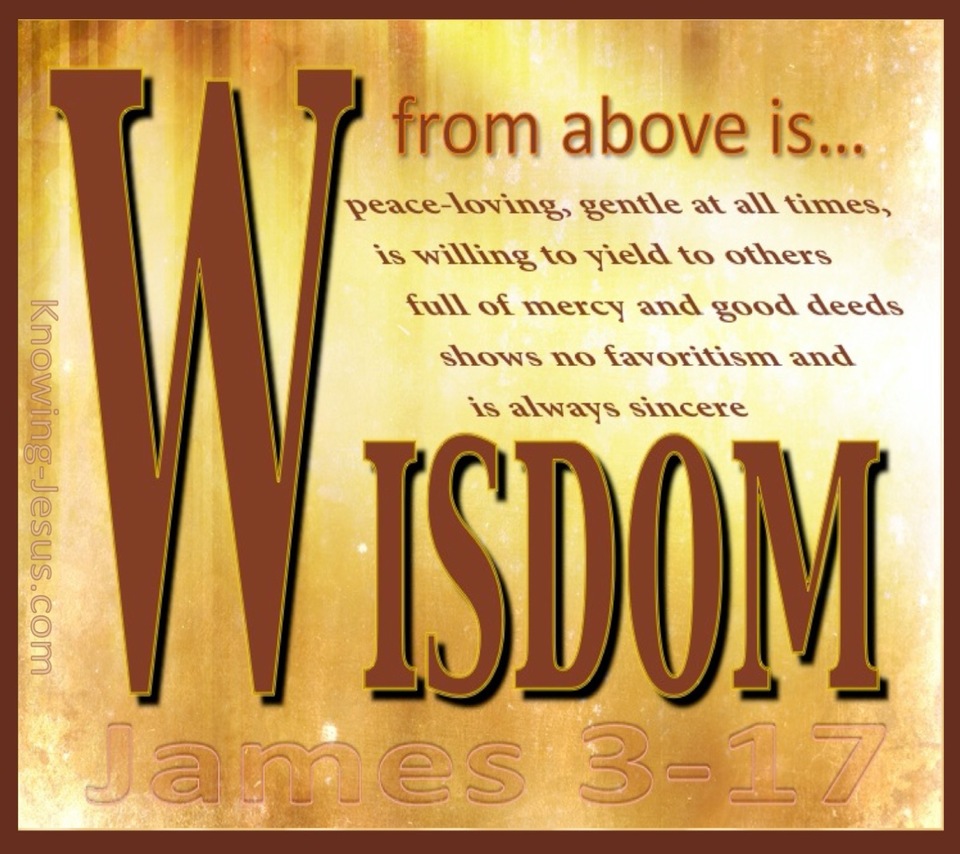 James 3:17 Wisdom From Above (brown)